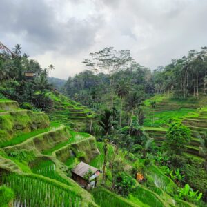 ubud